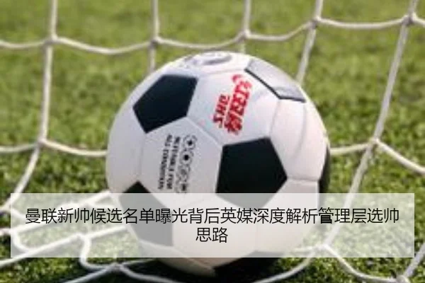 曼联新帅候选名单曝光背后英媒深度解析管理层选帅思路